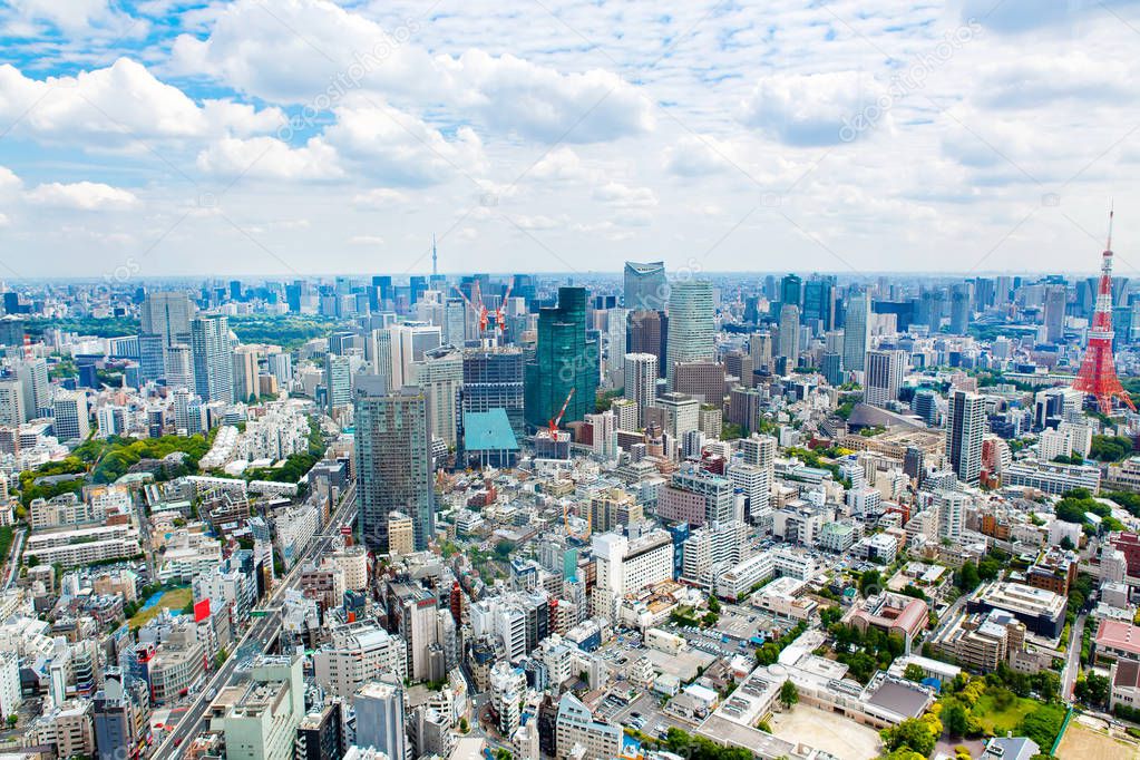 View from above on Tokyo Tower with skyline in Japan