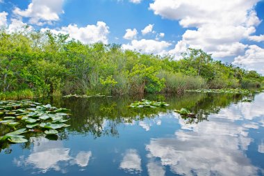 Florida sulak, tekne binmek Everglades Ulusal Park ABD