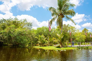 Florida sulak, tekne binmek Everglades Ulusal Park ABD.
