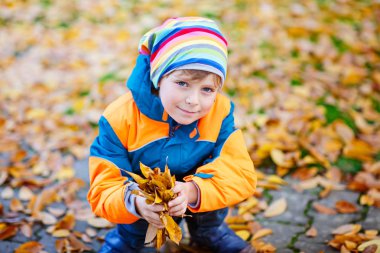 mutlu sevimli küçük çocuk çocuk bahçesinde oynarken sonbahar yaprakları ile
