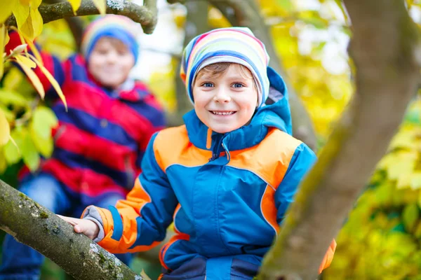 Two kids boys enjoying climbing on tree on autumn day. — Stock Photo, Image