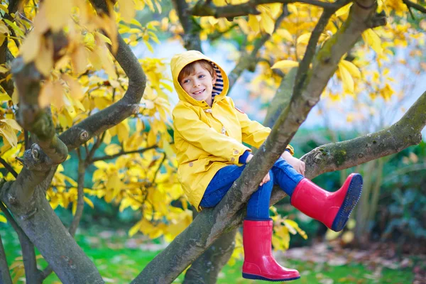 Little kid boy in colorful clothes enjoying climbing on tree on autumn day — Stock Photo, Image