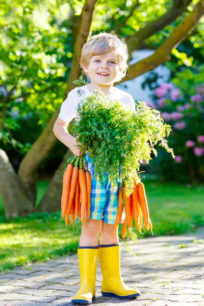 Bedårande liten unge pojke med morötter i inhemska trädgård — Stockfoto
