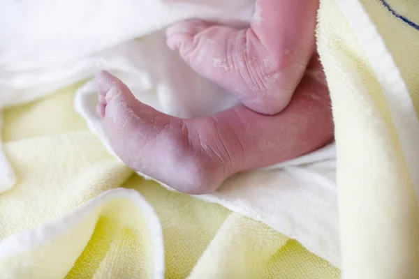 Feet of Newborn baby child seconds and minutes after birth lying on towel — Stock Photo, Image