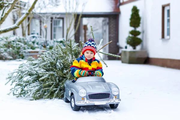 Lustiger kleiner lächelnder Junge fährt Spielzeugauto mit Weihnachtsbaum. — Stockfoto