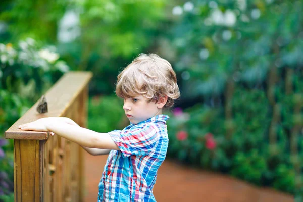 Niño rubio preescolar descubriendo flores y mariposas en el jardín botánico — Foto de Stock