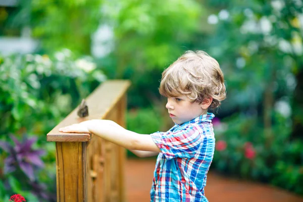 Liten blond förskola kid boy upptäcka blommor och fjärilar på botanic garden — Stockfoto