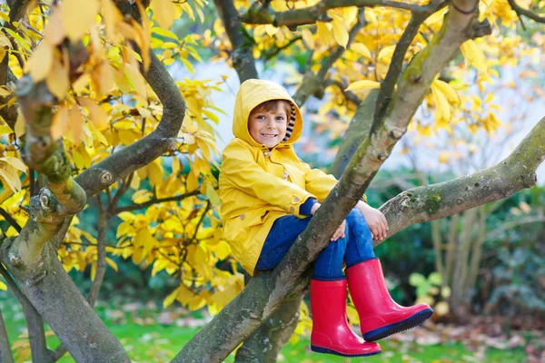 小家伙在颜色鲜艳的衣服，享受秋日爬在树上的男孩 — 图库照片