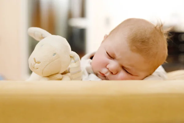 Aranyos és imádnivaló újszülött gyermek alszik portréja — Stock Fotó