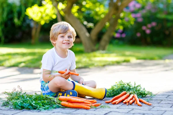 Engraçado menino com cenouras no jardim doméstico — Fotografia de Stock