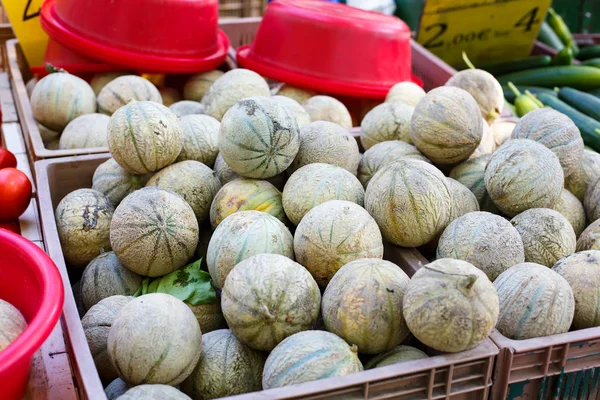 Melão cantaloupe fresco orgânico do mercado dos agricultores mediterrânicos — Fotografia de Stock