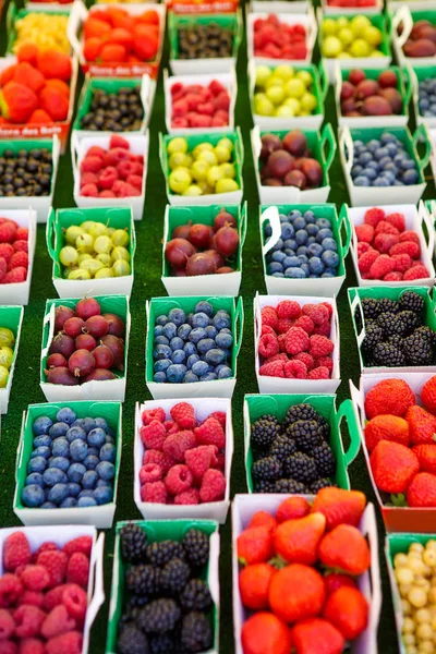 Verschillende bessen op markt in Zuid-Frankrijk, Arles, Provence — Stockfoto