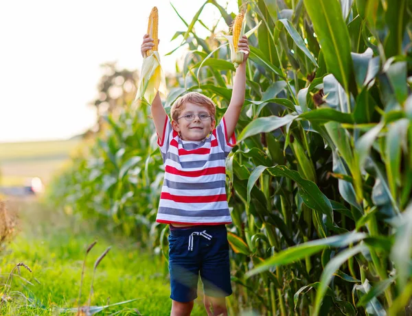 Enfant garçon avec du maïs sucré sur le champ à l'extérieur — Photo