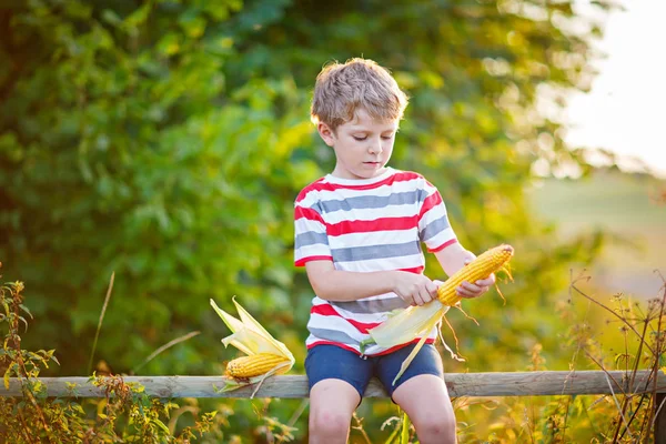 Kid pojke med sockermajs på fältet utomhus — Stockfoto