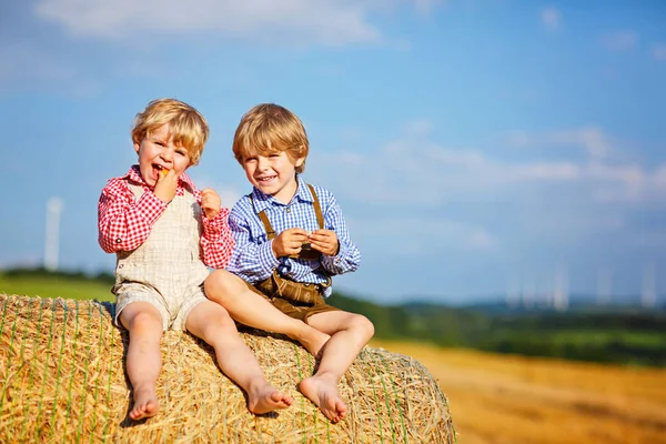 Two little kid boys, twins and siblings sitting on warm summer day on hay stack — Stock Photo, Image