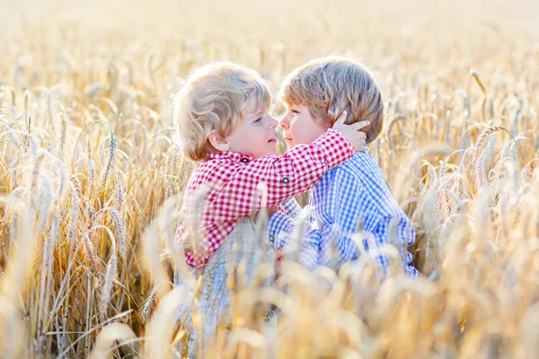 Dois meninos irmãos se divertindo e abraçando no trigo amarelo — Fotografia de Stock