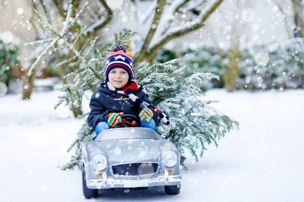 Funny little smiling kid boy driving toy car with Christmas tree. — Stock Photo, Image