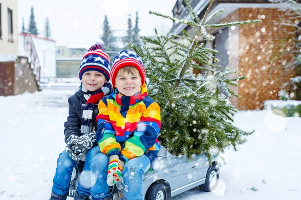 Två kid lite pojkarna köra leksaksbil med julgran — Stockfoto