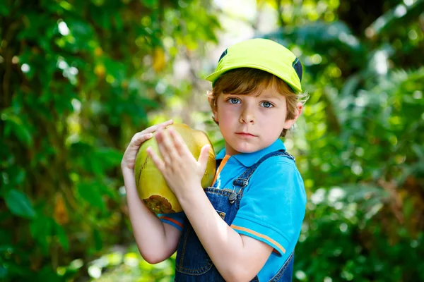快乐有趣小学龄前孩子男孩手持巨大椰子. — 图库照片