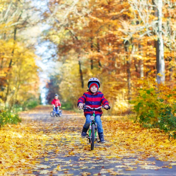 Två kid lite pojkar med cyklar i höst skog — Stockfoto