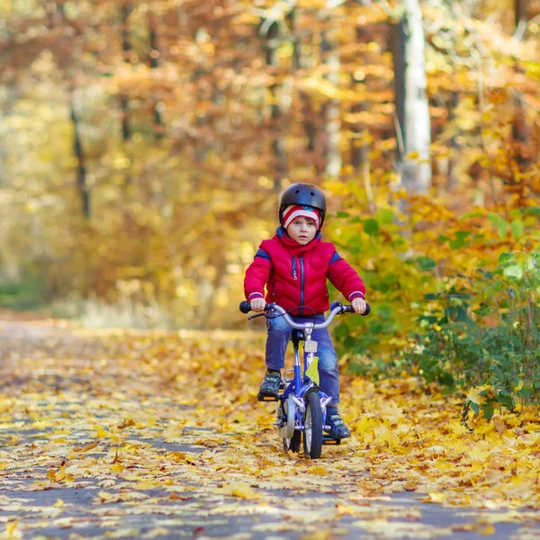 Två kid lite pojkar med cyklar i höst skog — Stockfoto