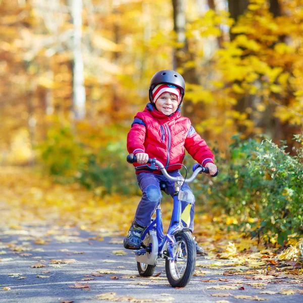 Маленький мальчик с велосипедом в осеннем лесу — стоковое фото