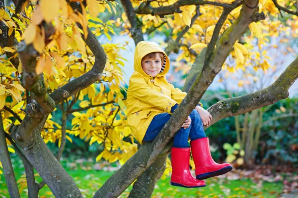 Niño pequeño en ropa colorida disfrutando de trepar en el árbol en —  Fotos de Stock