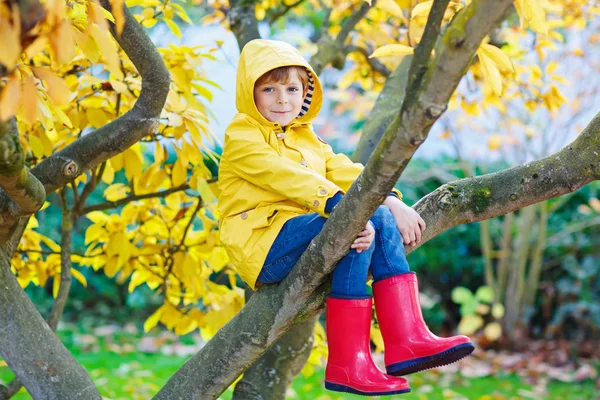 Malý kluk boy v barevné oblečení těší, lezení na strom — Stock fotografie