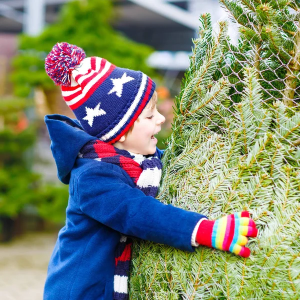 Hermoso niño sonriente sosteniendo el árbol de Navidad —  Fotos de Stock