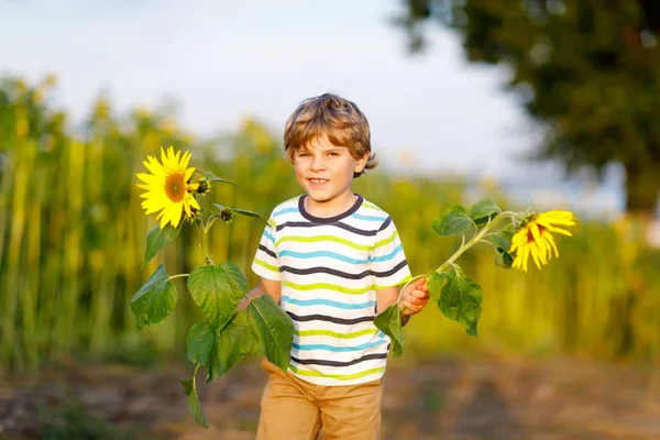 Adorable little blond kid boy on summer sunflower field outdoors — Stock Photo, Image