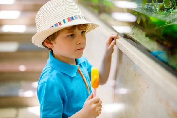 Little kid boy admire different reptiles and fishes in aquarium