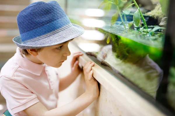 Menino admira diferentes répteis e peixes no aquário — Fotografia de Stock