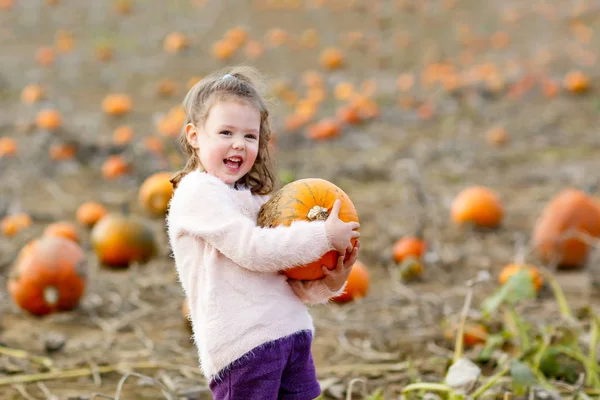 Sevimli küçük çocuk kız kabak yama üzerinde eğleniyor.