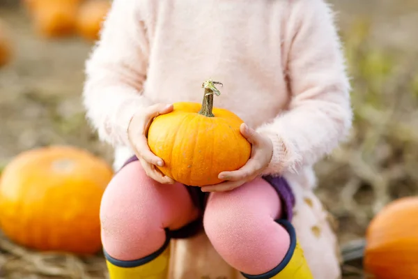 Gros plan des mains des enfants tenant la citrouille orange sur le patch . — Photo