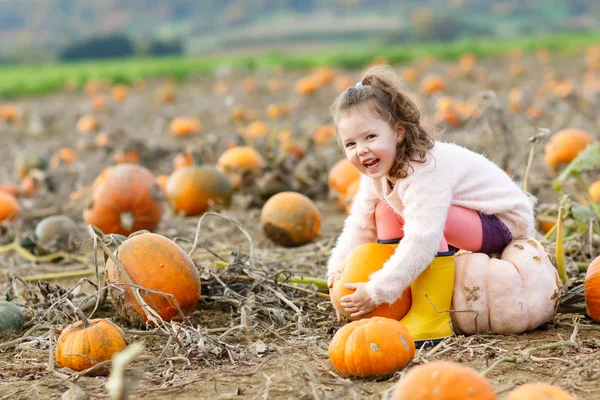 küçük kız kabak yama üzerinde tarım
