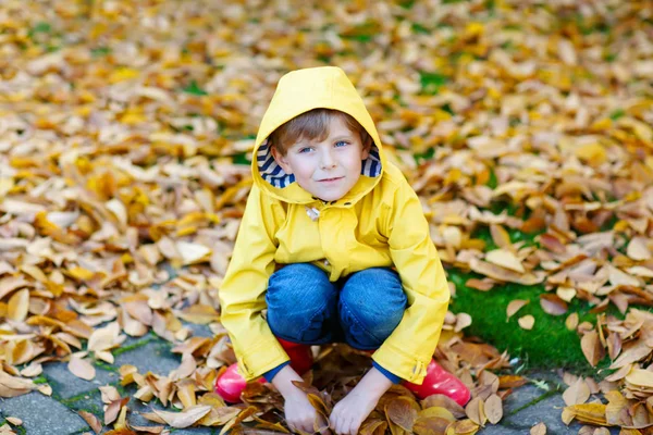 Happy cute little kid boy with autumn leaves playing in garden — Stock Photo, Image