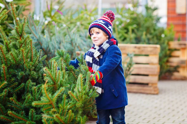 Hermoso niño sonriente sosteniendo el árbol de Navidad —  Fotos de Stock