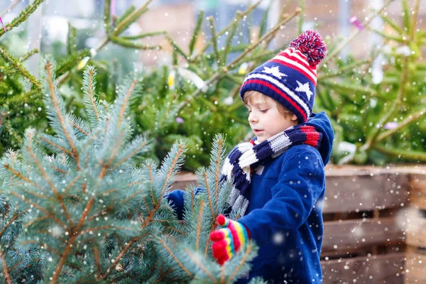 Hermoso niño sonriente sosteniendo el árbol de Navidad —  Fotos de Stock