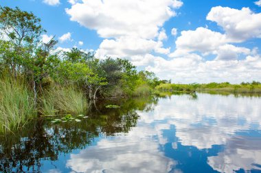 Florida sulak, tekne binmek Everglades Ulusal Park ABD