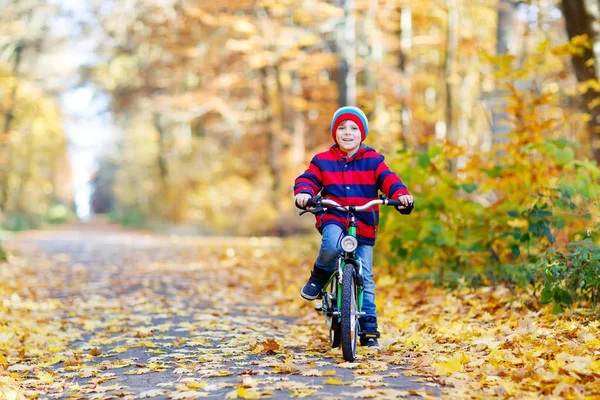 Niño en ropa de abrigo colorido en el parque forestal de otoño conduciendo una bicicleta — Foto de Stock