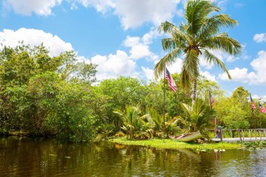 Florida sulak, tekne binmek Everglades Ulusal Park ABD.