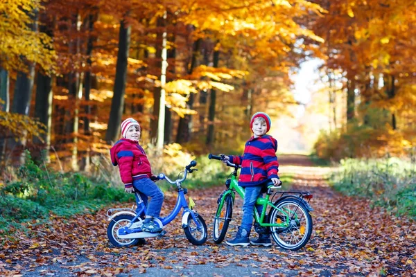 Two little kids boys, best friends having fun in autumn park with bicycles — Stock Photo, Image