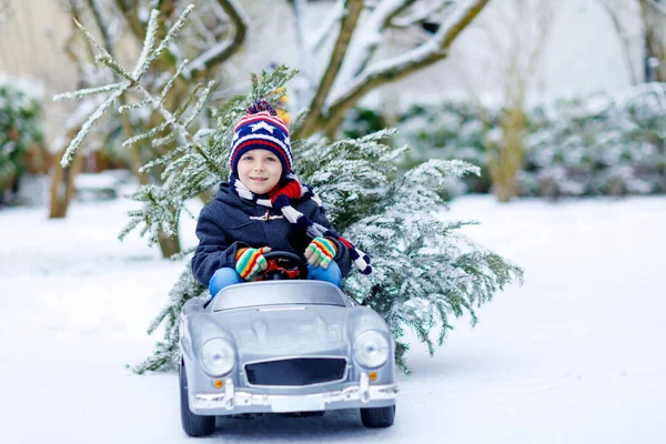 Engraçado pouco sorridente garoto menino condução brinquedo carro com árvore de Natal. — Fotografia de Stock