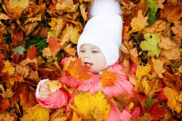 Adorable niña en el parque de otoño en el soleado día cálido de octubre con hoja de roble y arce —  Fotos de Stock