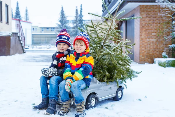 Two little kid boys driving toy car with Christmas tree