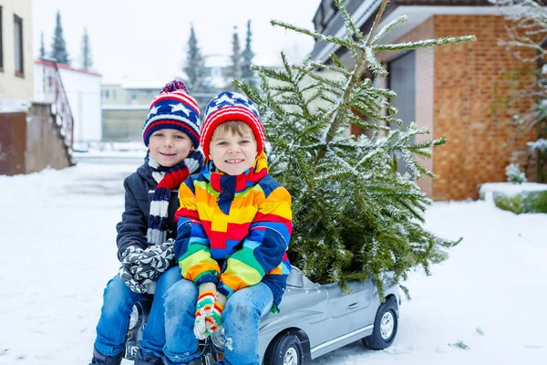 Två kid lite pojkarna köra leksaksbil med julgran — Stockfoto