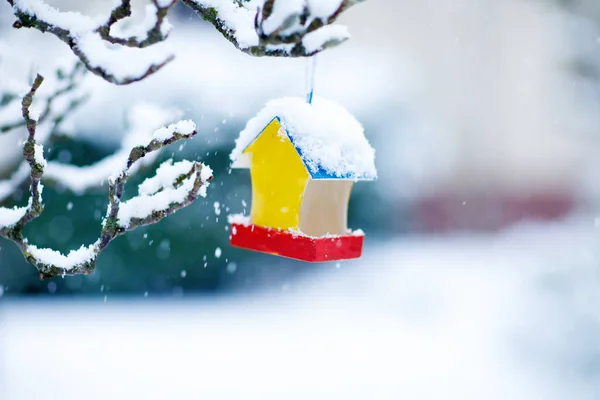 Colorful bird house in winter outdoors. Snowfall. Bird feeding concept. — Stock Photo, Image