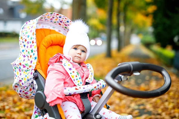 Schattig klein mooie babymeisje, zittend in de kinderwagen of wandelwagen op herfstdag — Stockfoto