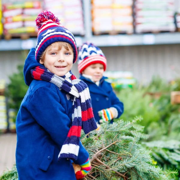 Due bambini piccoli che comprano l'albero di Natale nel negozio all'aperto — Foto Stock