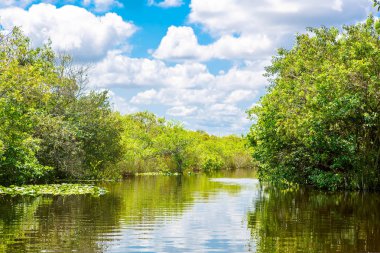 Florida sulak, tekne binmek Everglades Ulusal Park ABD
